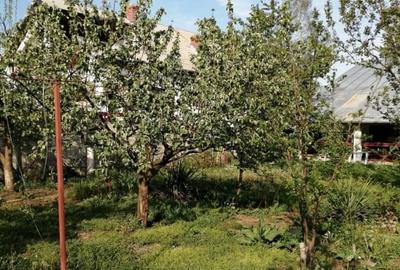 Casă individuală cu 3 camere cu Teren 937 Mp în Vlădeni - 12