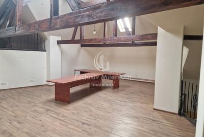 Udriste Birouri la vila 355mp - Unirii - 6