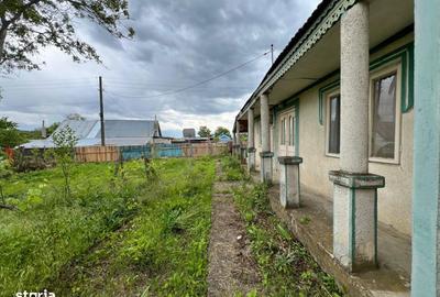 Casă cu 4 camere cu Teren 4430 Mp în Buciumeni - 5