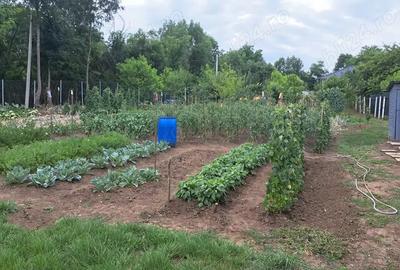 Vind casa Ceuasu de Cimpie 4 camera, living+bucatarie, bucataria mica,2 bai,2 garai,2 terasa 265.000 - 9