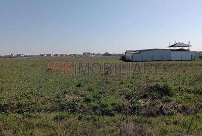 Teren intravilan de 600 mp, în Săcălaz - 3