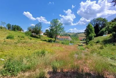 Teren Intravilan in zona Trei Ape, 6889 Mp., 14,5 Euro/Mp., - 10