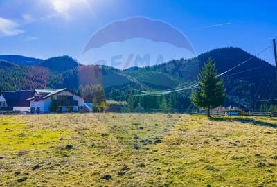 Teren de 13800 mp, în Fundățica - 11