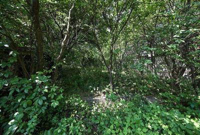 Casă spațioasă în centrul orașului Sfântu Gheorghe | Teren 1300 mp - 13