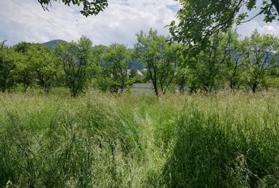 Teren intravilan Viisoara - 3