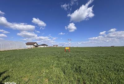 Teren de 12501 mp, în Oșorhei - 3