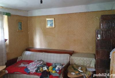 Casă cu 3 camere cu Teren 3290 Mp în Drănic - 4