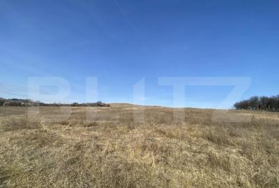 Teren extravilan in suprafata de 140551 mp in loc. Recea - 11