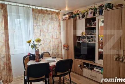 Apartament cu 2 camere semidecomandat, mobilat în Iosefin - 4