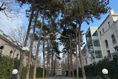 Spațiu comercial, de 376 mp, în Kiseleff - 15