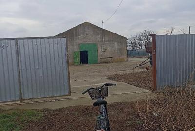 Spațiu comercial, de 480 mp, în Siliștea - 3