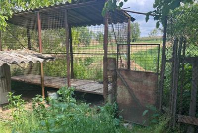 RECO casa batraneasca Sacueni - 21