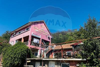 Casă P+E+M cu spălătorie auto și restaurant la DN 7 în LIPOVA - 19