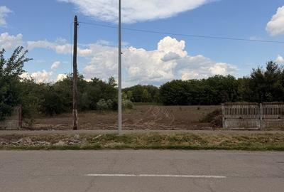 Teren de 1000 mp, în Ceacu - 1