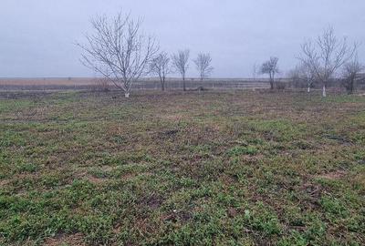 Casă cu 4 camere în Central - 1