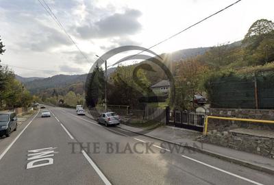 Teren intravilan de vanzare | 1170 mp | Sinaia, Prahova |... - 3