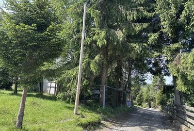 Persona fizica vand cabana cu teren la Beli? - 6