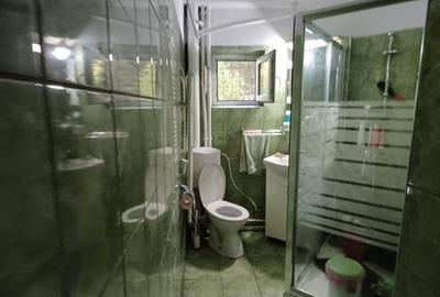 Apartament 3 camere decomandat, mobilat, centrala, beci + boxa - zona Frumoasa - 4