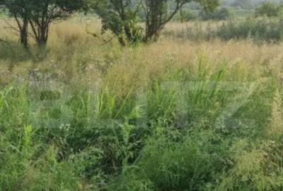 Teren extravilan, zona industriala, 3300 mp - 2