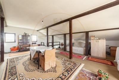 0% COMISION!! CASA PARTER + MANSARDA+ 2788 mp teren -RACHITELE DE JOS - 17