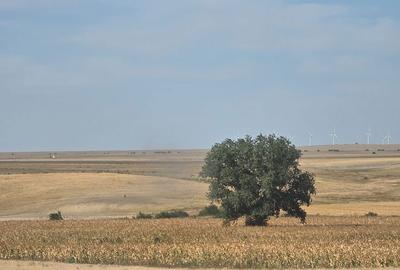 Teren de 590000 mp, în Saraiu