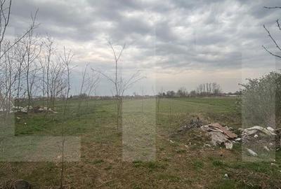 Casă cu 4 camere în Iratoșu - 7