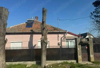 Casă cu 2 camere cu Teren 1500 Mp în Central - 3