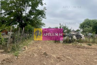 Teren Domnesti- Mega Image. - 4