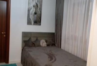 Apartament cu 2 camere semidecomandat în Bucium - 3