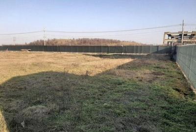 Teren construcție, în Mogoșoaia - 5