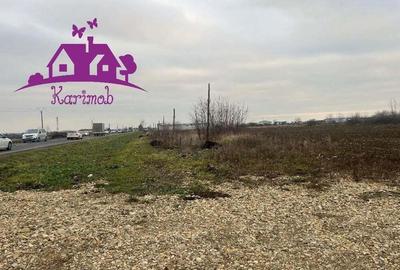 Teren industrial la soseaua nationala Nojorid les - 4