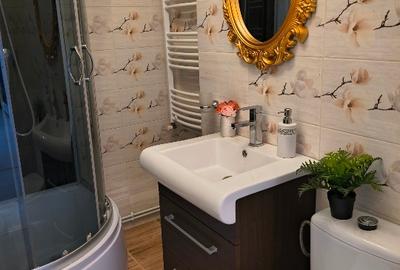 Apartament cu 2 camere semidecomandat în Domenii - 5