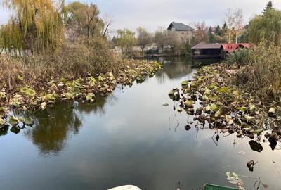 Domeniu excelent cu iesire si vedere in centrul Lacului Snagov - 3