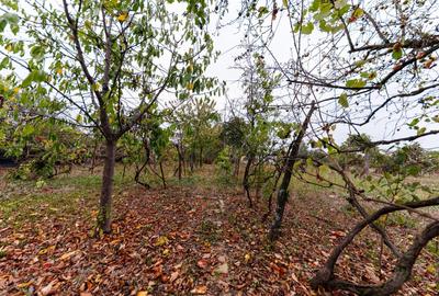 Casa locuibila pe teren de 1.439 mp, Urseni – Vatra Veche - 20