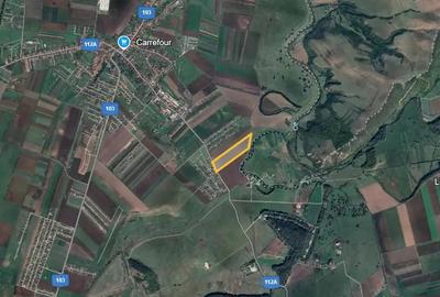 Superoferta! Teren 39920 mp in intravilanul localitatii Bod- Brasov - 5