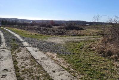 Spațiu comercial, în Păulești - 3