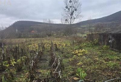 Casă cu 2 camere cu Teren 1432 Mp în Chiraleș - 8