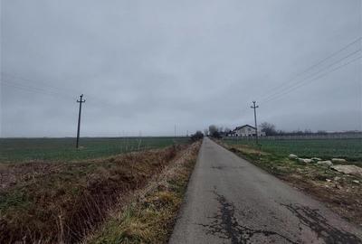 Ocazie!!! Teren pentru hala sau parcare, zona Hanul de la Rascruce! - 5