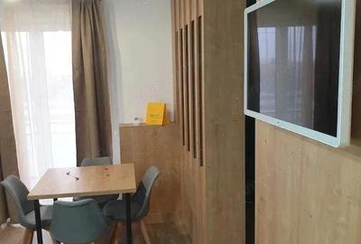 Maurer Residence - Inchiriere apartament tip studio - 2