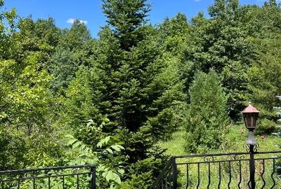 Vanzare 2 vile  tip -Duplex,  Valenii de munte, Drajna de Sus, Prahova - 6