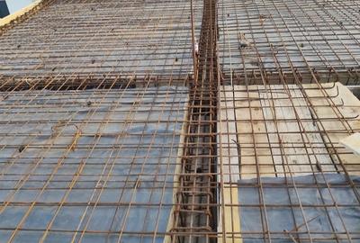 Casă cu 4 camere cu Teren 312 Mp în Berceni - 3