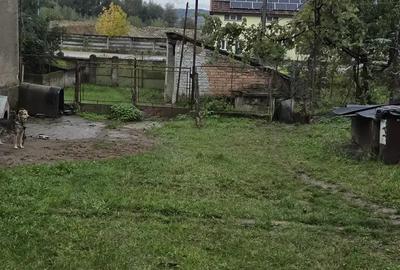 Casă cu 2 camere în Strei - 1