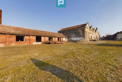 Teren și hale pe calea Aradului în Periam - 10