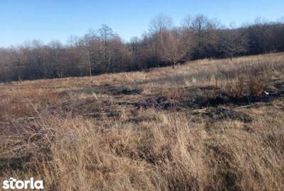 Teren de 5000 mp, în Central