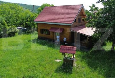 Casă cu Teren 1000 Mp în Râmeț - 13