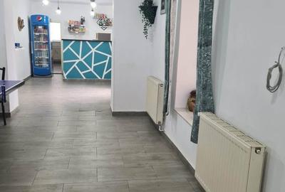 Casă cu 3 camere decomandat cu Teren 725 Mp în Săbed - 8