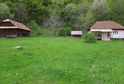 Casă cu 2 camere cu Teren 4721 Mp în Lunca Vișagului - 3