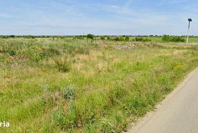 Spațiu comercial, în Corbeanca - 6