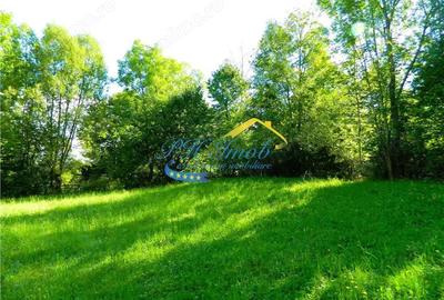 Teren intravilan de vanzare, Valea Doftanei Prahova - 3