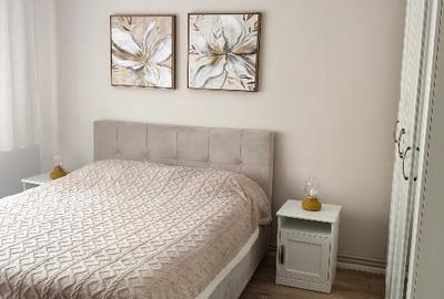 Apartament cu 2 camere decomandat, mobilat în Terezian - 7